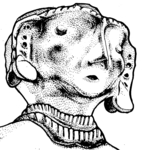 L_W12c2406 A12.0030 J729 pp head only
